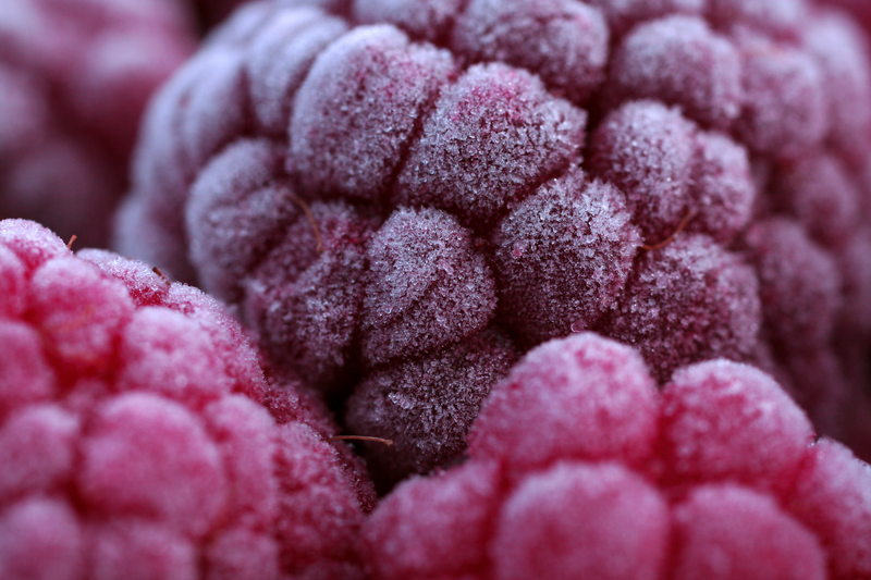 raspberry-Thinkstock_credits