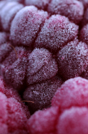 raspberry-Thinkstock_credits