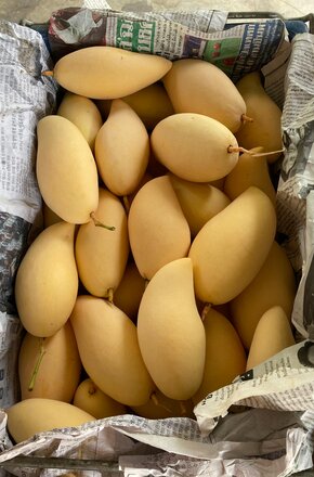 Crate of Mangoes