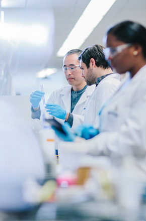 Doctors examining test tubes in laboratory