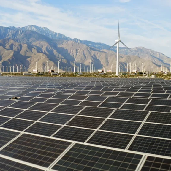 Solar and wind renewable energy park